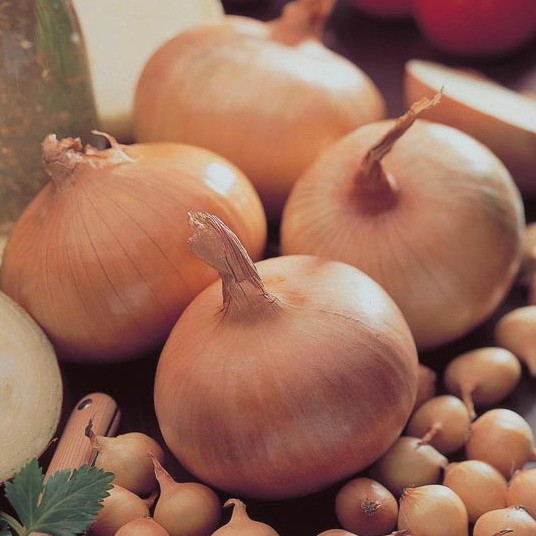 лук